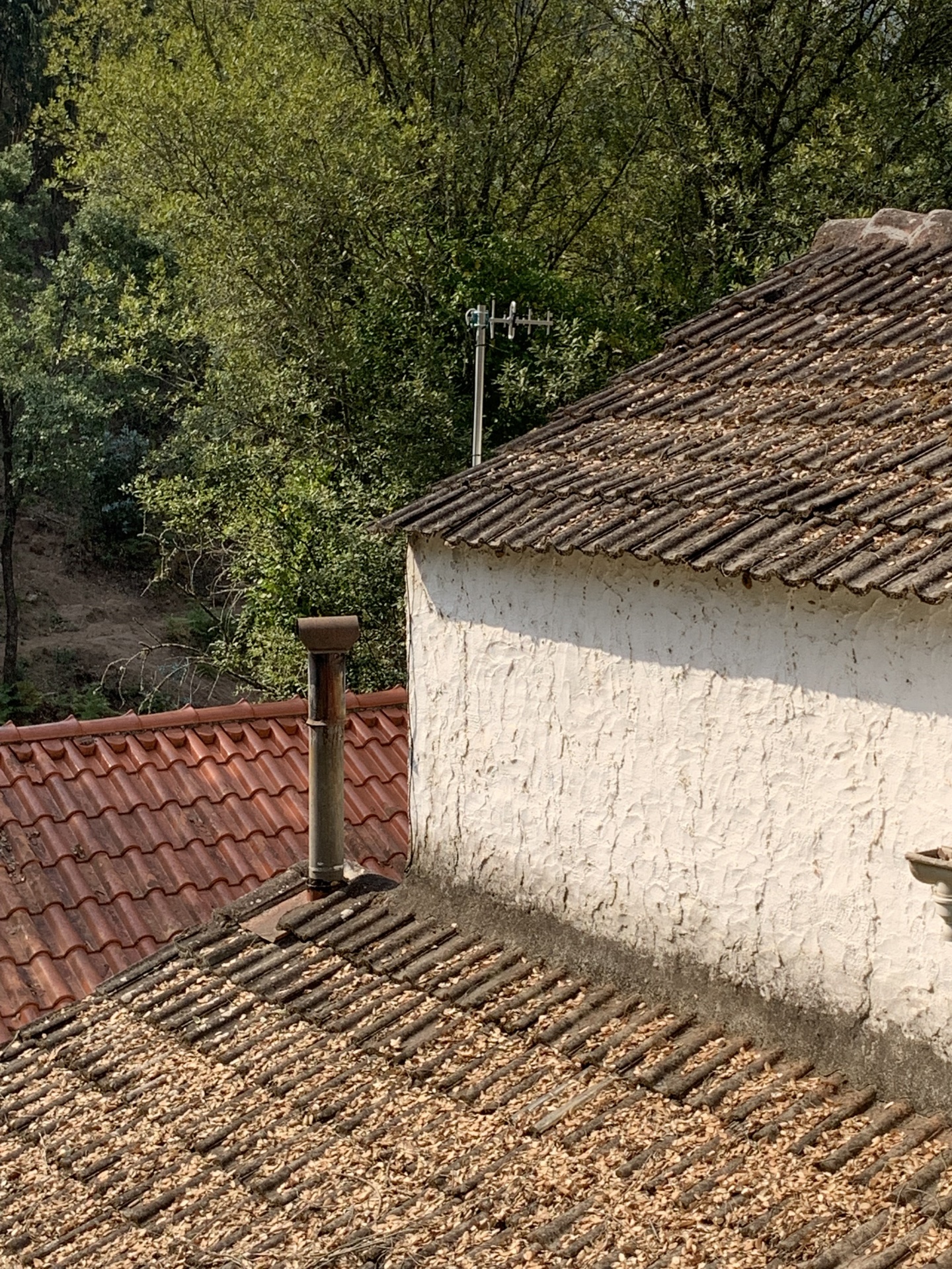 Clément Dauvilliers Architecte - The Wildboys